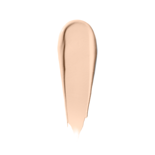 Skin Corrector Stick